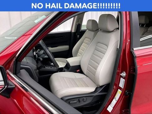 Certified 2025 Honda CR-V EX-L image 8