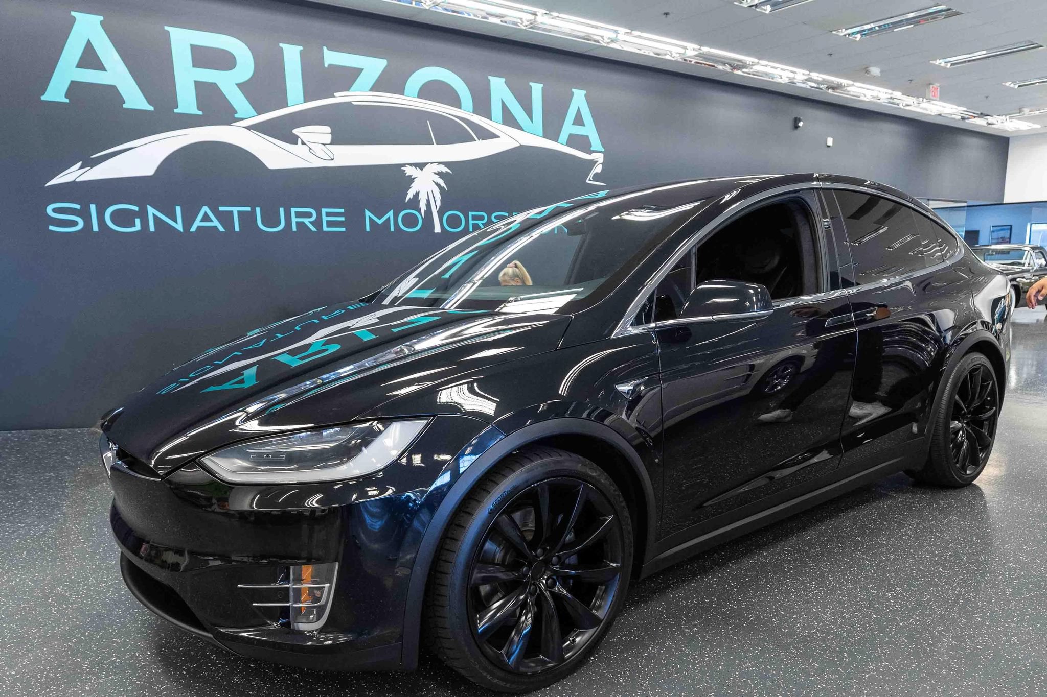 Used 2018 Tesla Model X 100D AWD/4WD image 1