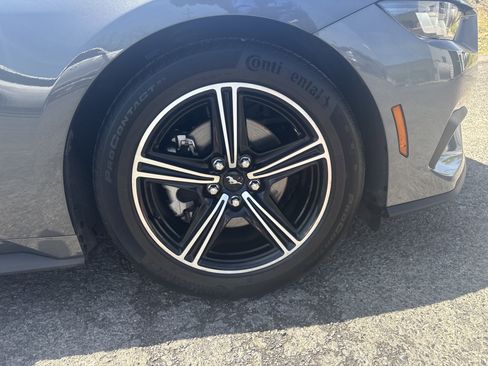Used 2025 Ford Mustang Premium RWD image 12