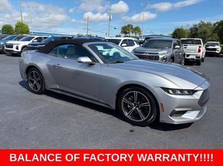 Used 2024 Ford Mustang Premium RWD video 1