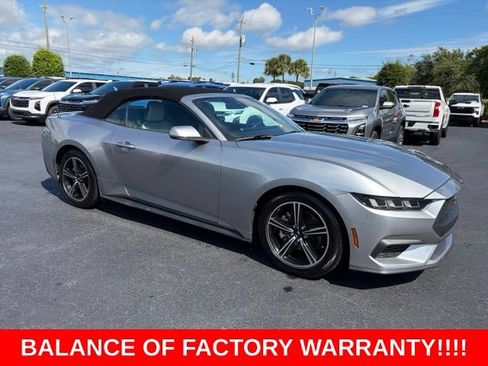 Used 2024 Ford Mustang Premium RWD image 1