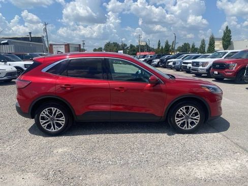 Used 2022 Ford Escape SEL image 7