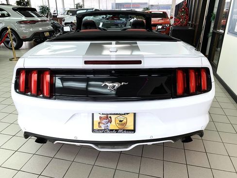 Used 2017 Ford Mustang Premium w/ Equipment Group 201A image 5