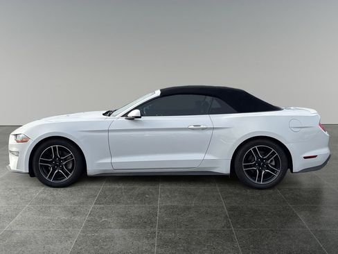 Used 2018 Ford Mustang Premium image 4