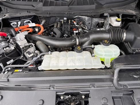 Used 2025 Ford F150 XLT w/ Equipment Group 301A Standard image 29