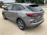Used 2024 Ford Escape ST-Line w/ Tech Pack #1 image 5