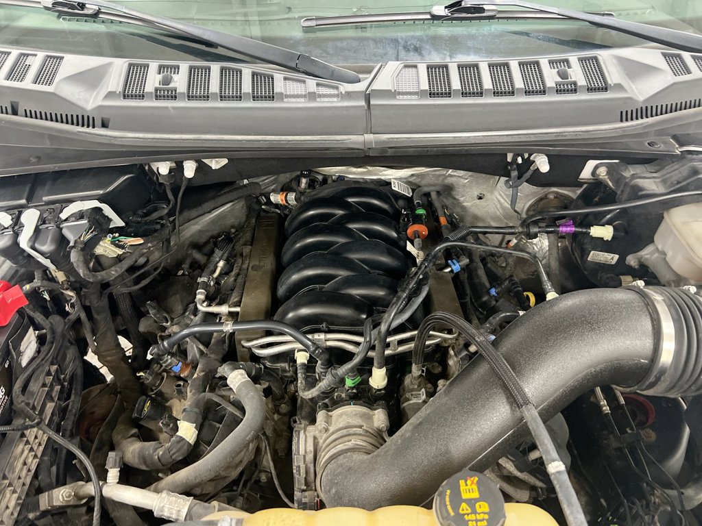 Used 2019 Ford F150 XL w/ Equipment Group 101A Mid AWD/4WD image 24