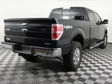 Used 2013 Ford F150 XLT w/ Luxury Equipment Group image 4