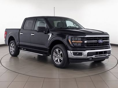 Used 2025 Ford F150 XLT w/ Equipment Group 301A Standard