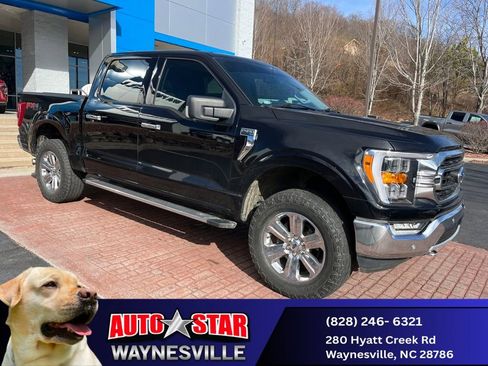 Used 2021 Ford F150 XLT w/ Equipment Group 302A High image 1