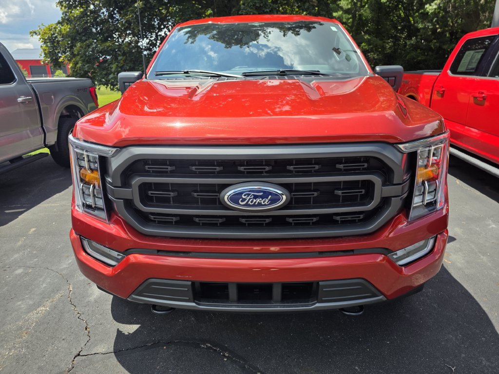 Used 2023 Ford F150 XLT w/ Equipment Group 302A High AWD/4WD image 3