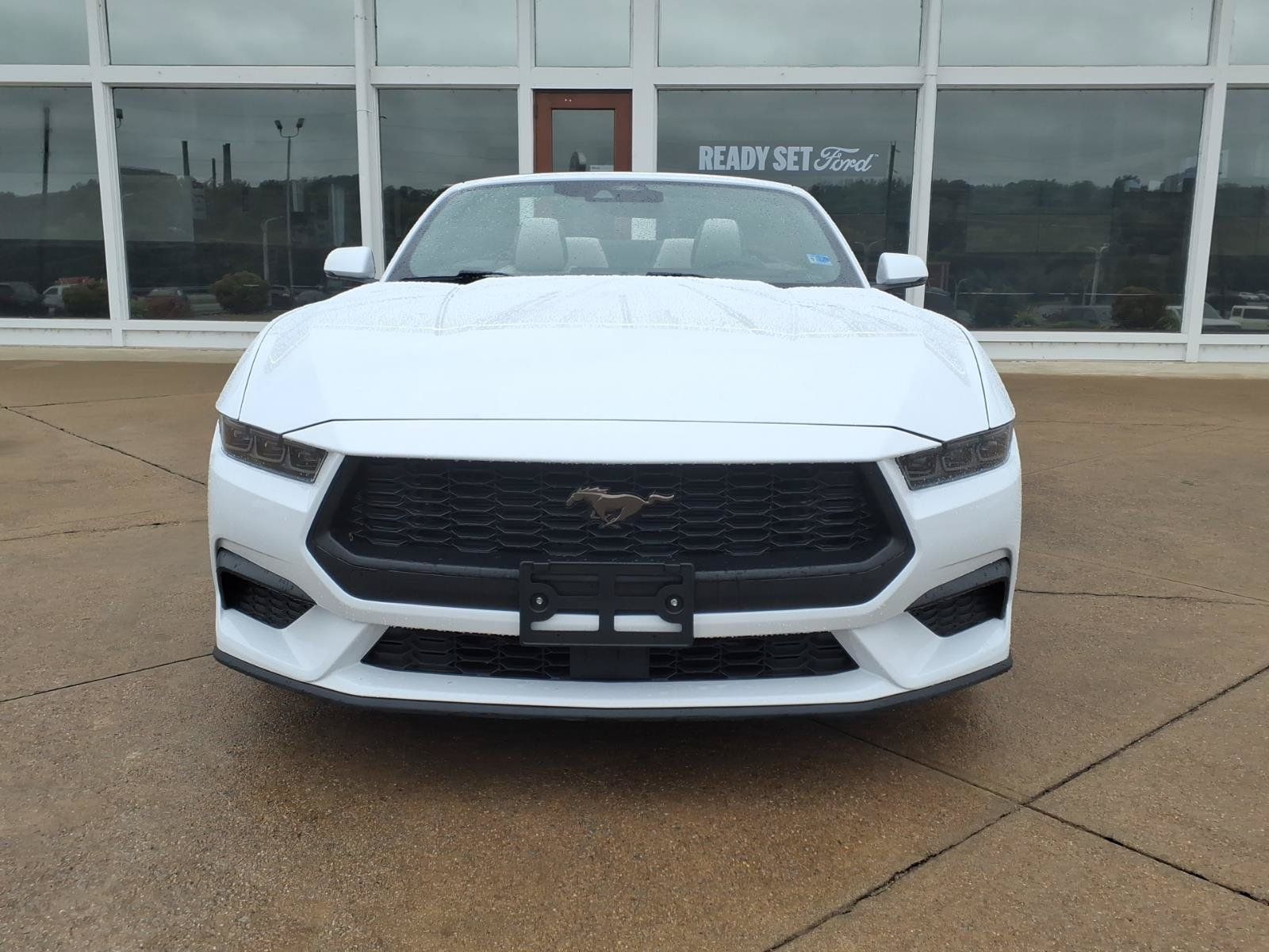 Used 2025 Ford Mustang Premium RWD image 3