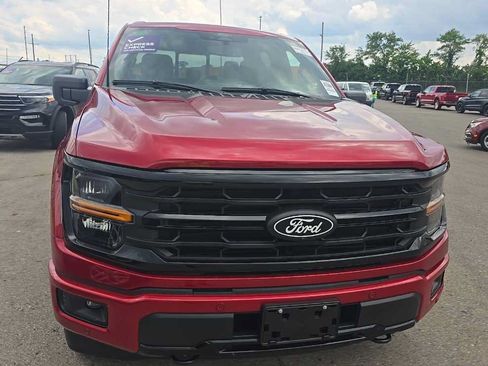 Used 2025 Ford F150 XLT w/ Equipment Group 303A High AWD/4WD image 2