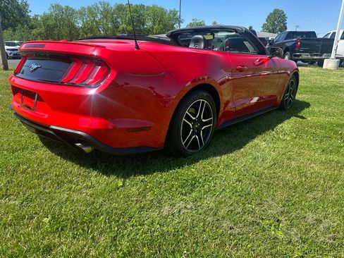 Used 2019 Ford Mustang Premium RWD image 3