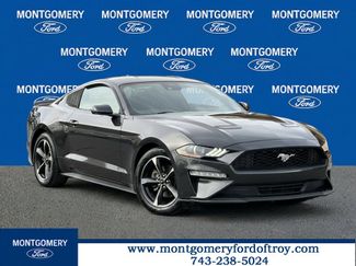 Used 2022 Ford Mustang Coupe w/ Equipment Group 101A video 1