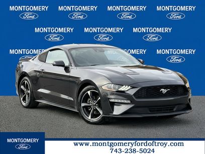 Used 2022 Ford Mustang Coupe w/ Equipment Group 101A