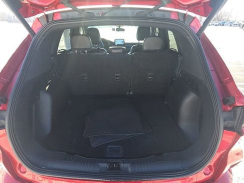 Used 2024 Ford Escape ST-Line w/ Cold Weather Package image 12