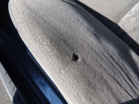 Used 2006 GMC Envoy XL SLE image 45