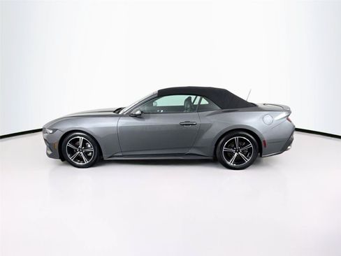 Used 2025 Ford Mustang Premium RWD image 13