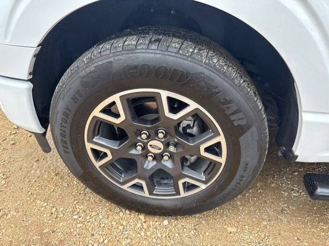 Used 2025 Ford F150 STX w/ Equipment Group 200A RWD image 17