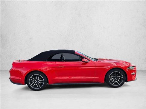 Used 2019 Ford Mustang Premium image 2