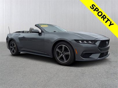 Used 2024 Ford Mustang Premium