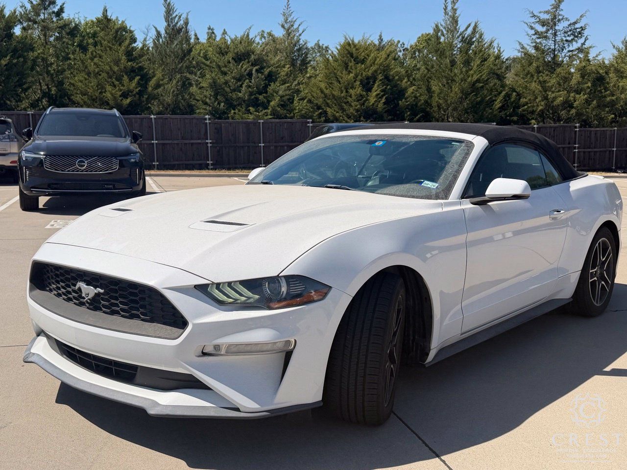 Used 2020 Ford Mustang Premium RWD image 4