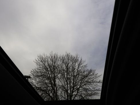 Used 2020 Chevrolet Silverado 1500 LT Trail Boss image 17