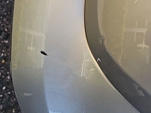 Used 2013 Volkswagen Beetle 2.5 FWD image 7