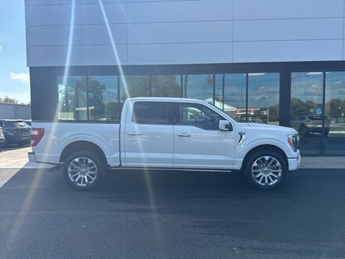 Used 2021 Ford F150 Limited image 2