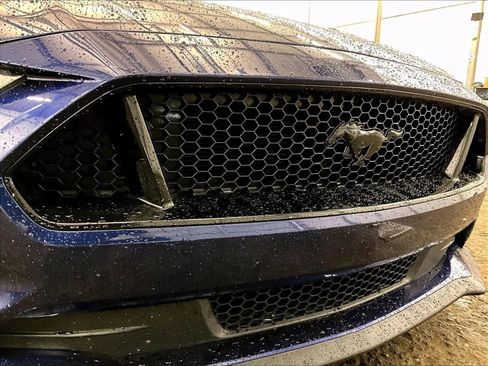 Used 2019 Ford Mustang GT w/ Equipment Group 301A RWD image 29
