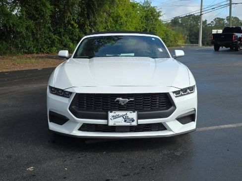 Certified 2025 Ford Mustang Premium RWD image 5