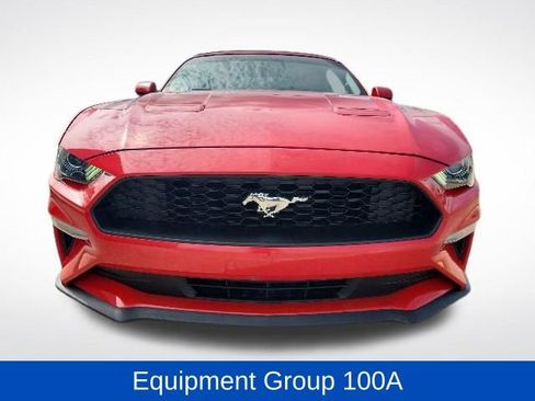 Used 2019 Ford Mustang Convertible RWD image 3