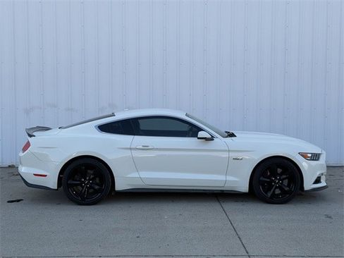 Used 2015 Ford Mustang 50 Years image 3