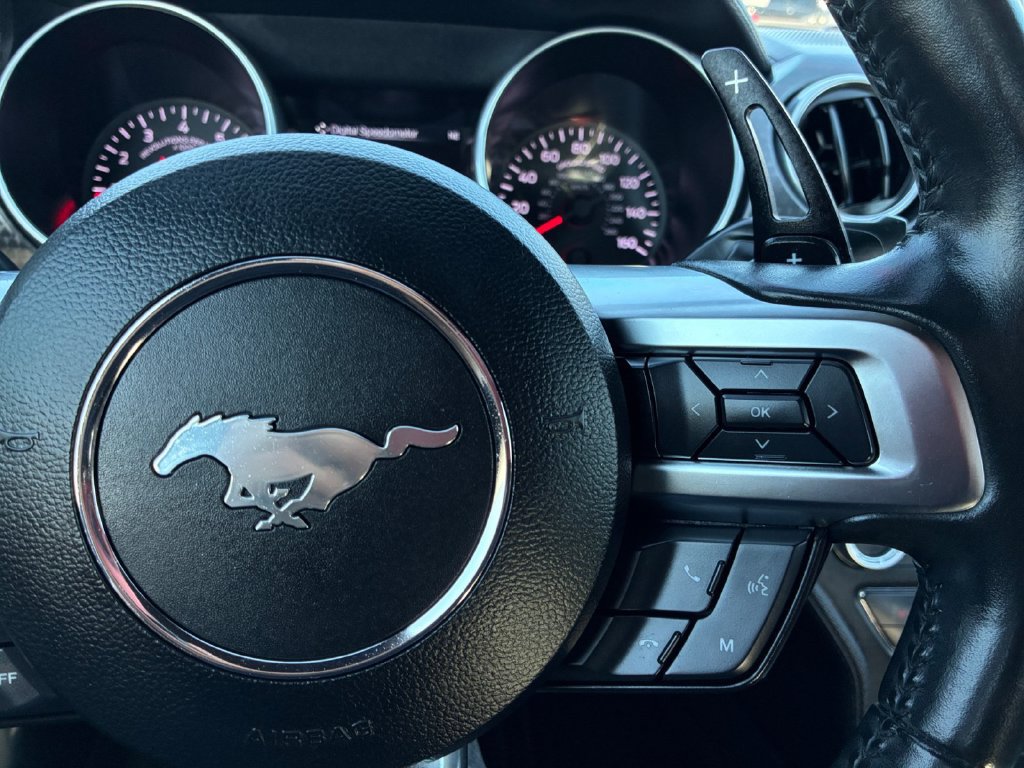 Used 2019 Ford Mustang Premium w/ Ecoboost Performance Package RWD image 12
