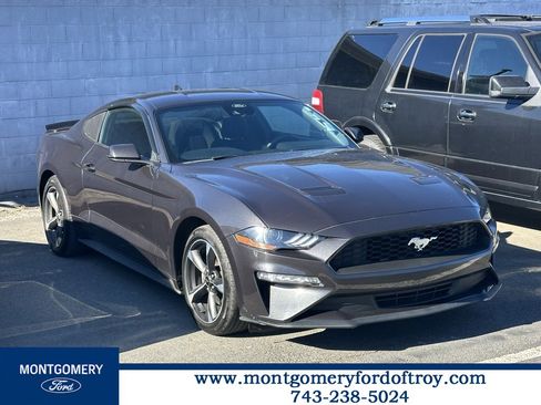 Used 2022 Ford Mustang Coupe w/ Equipment Group 101A image 1