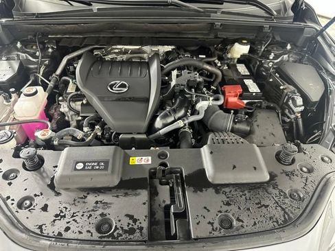 Used 2025 Lexus NX 350 AWD w/ Cold Area Package image 11