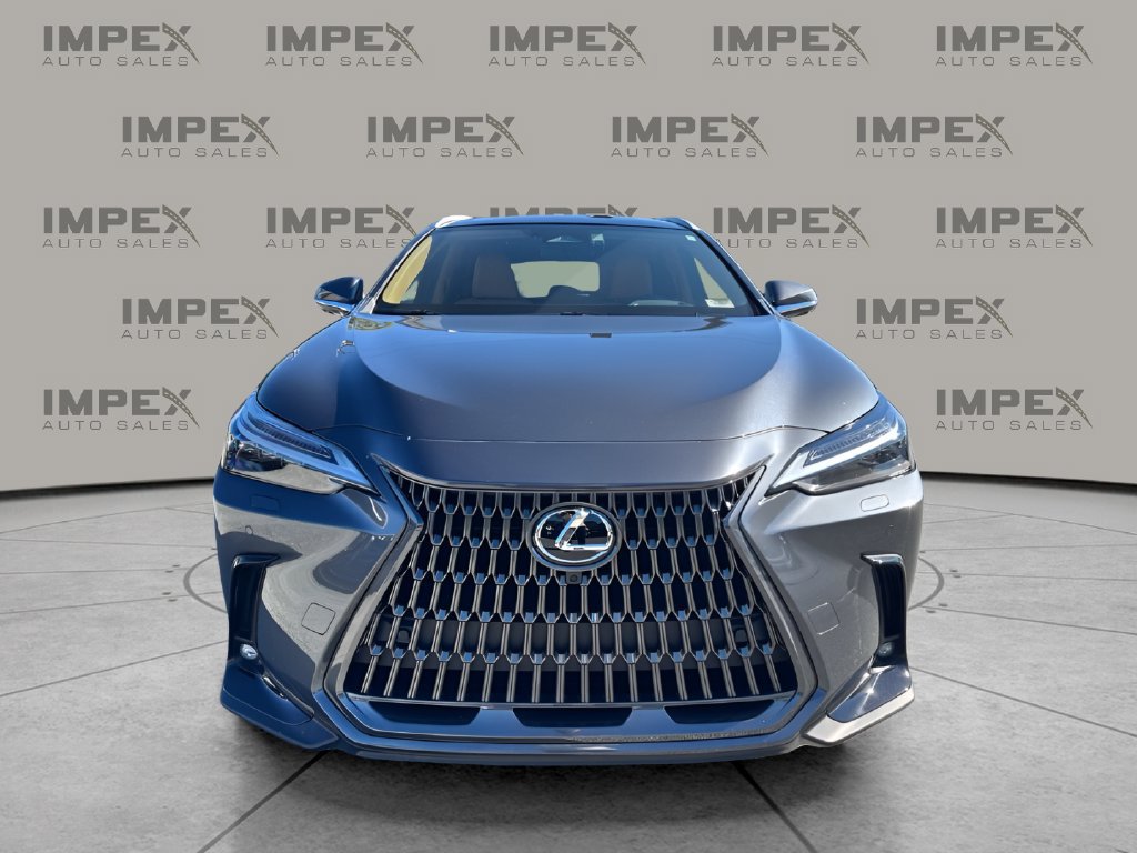 Used 2025 Lexus NX 350h AWD w/ Cold Area Package image 8