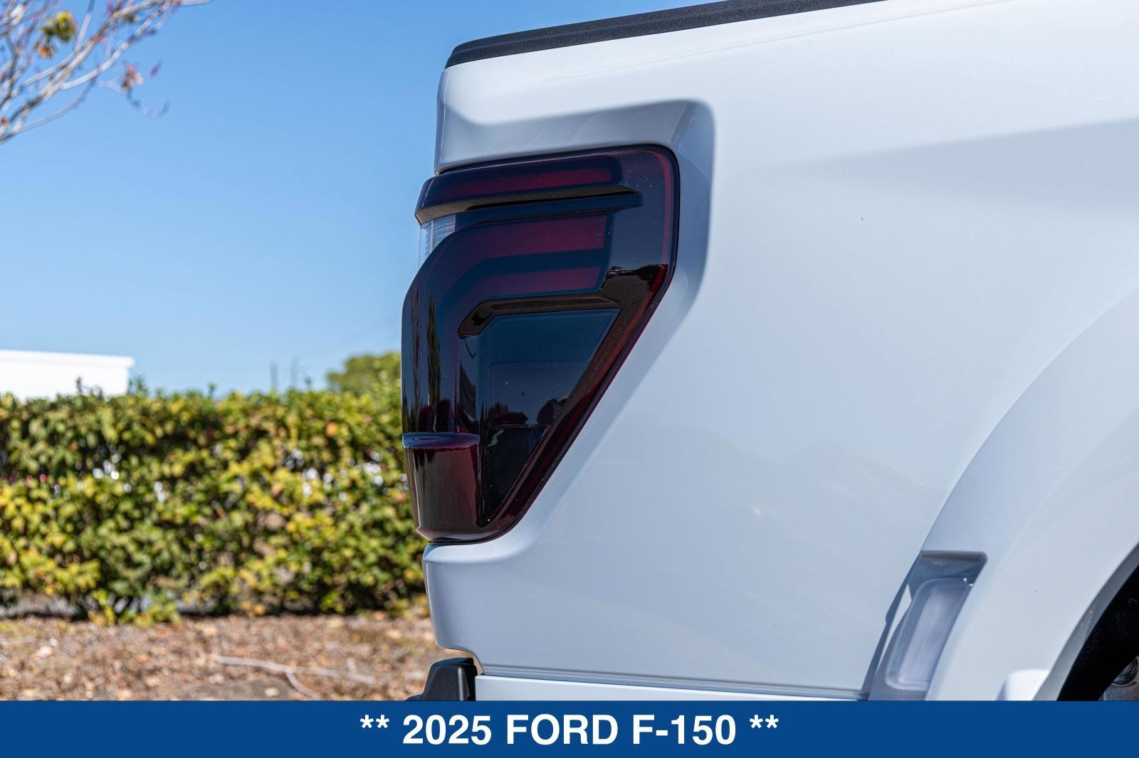 New 2025 Ford F150 Raptor AWD/4WD image 41