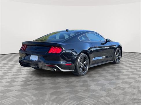 Used 2023 Ford Mustang Premium w/ Mustang Nite Pony Package image 7