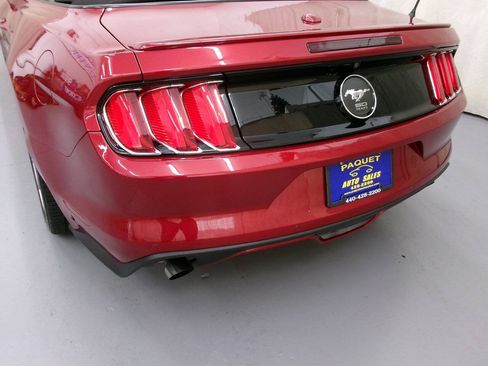 Used 2015 Ford Mustang Premium w/ Equipment Group 201A RWD image 8