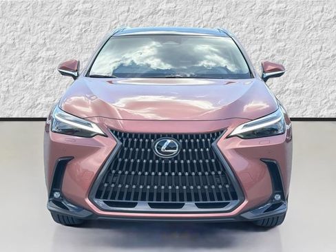 New 2026 Lexus NX 350 AWD w/ Cold Area Package image 8