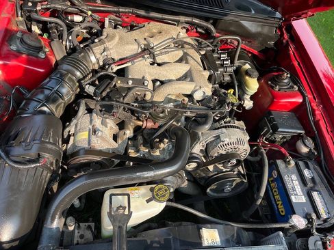 Used 2000 Ford Mustang Coupe RWD image 3