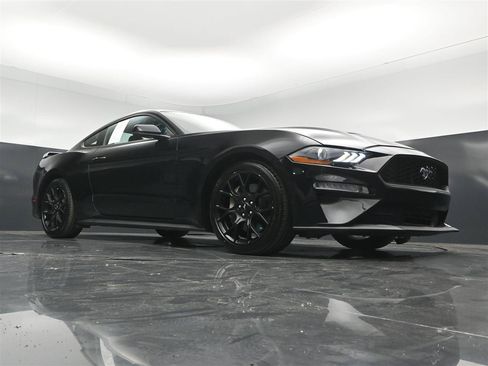 Used 2019 Ford Mustang Premium w/ Ecoboost Performance Package RWD image 28