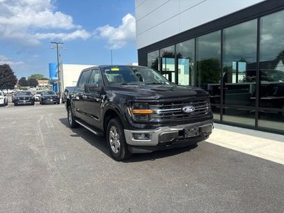 Used 2025 Ford F150 XLT w/ Equipment Group 301A Standard
