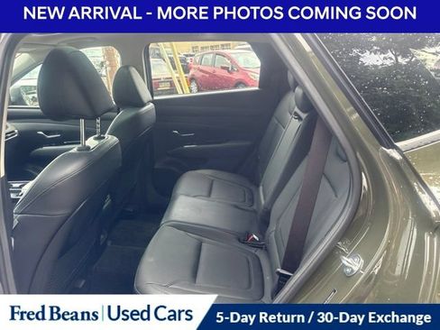 Used 2025 Hyundai Tucson Limited AWD/4WD image 8