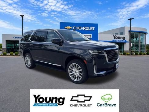 Used 2024 Cadillac Escalade Premium Luxury AWD/4WD image 1