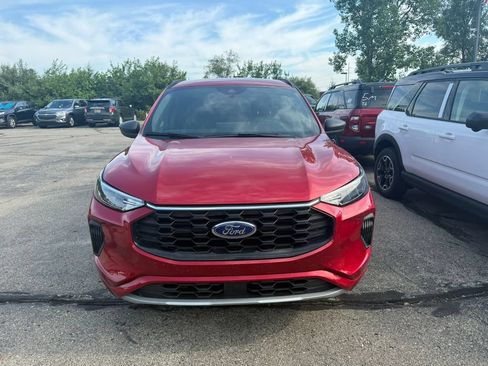 Used 2024 Ford Escape ST-Line w/ Tech Pack #1 AWD/4WD image 2