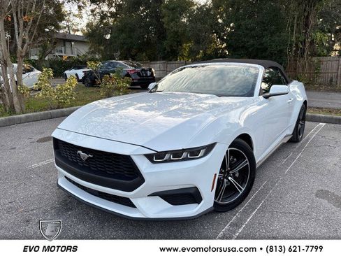 Used 2024 Ford Mustang Premium image 1