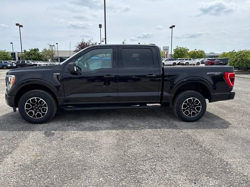 Used 2023 Ford F150 XLT w/ Equipment Group 302A High AWD/4WD image 6
